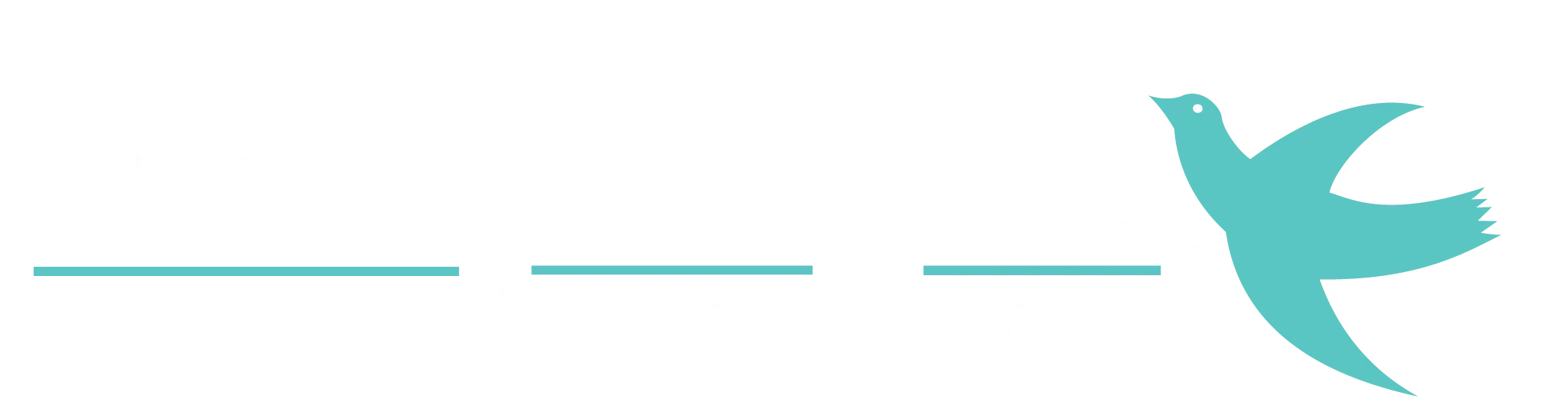 visiting-angels-logo
